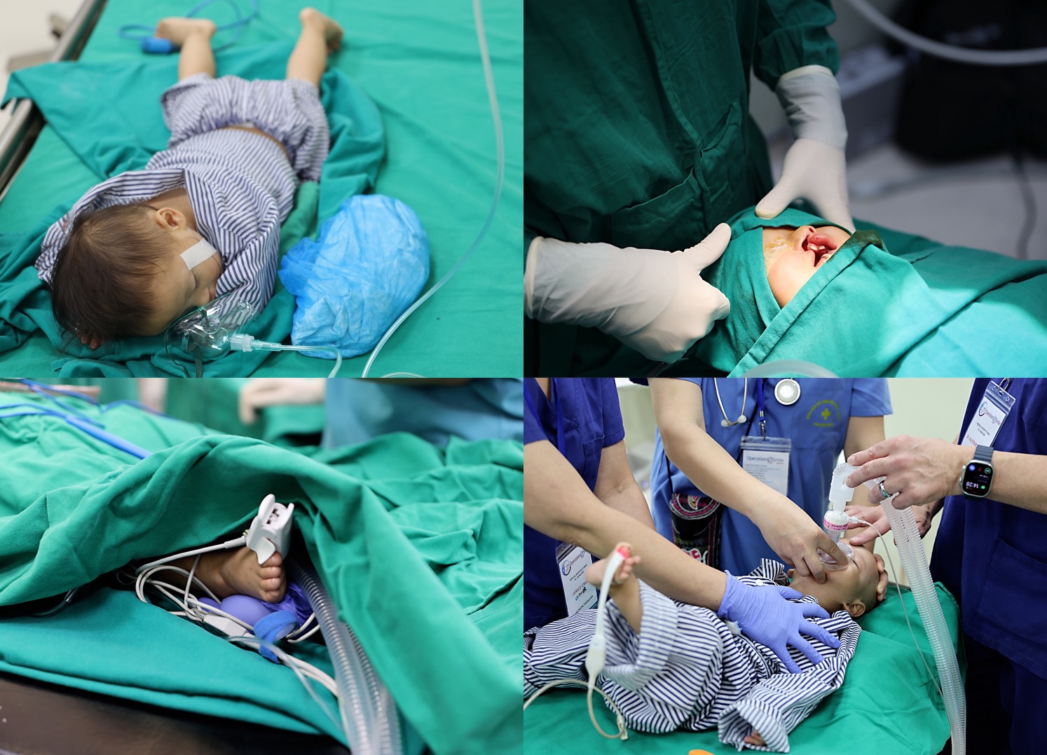 From the first cut on the operating table to the small, twitching foot, to the delicate movement under the breathing mask – and finally a deep sleep in the recovery room.